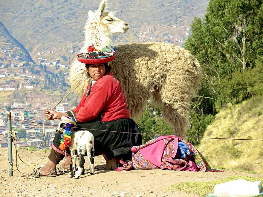 女性、アルパカ、伝統衣装、ラマ、民間伝承、コスチューム、農民、伝統、クスコ、インカ、アンデス