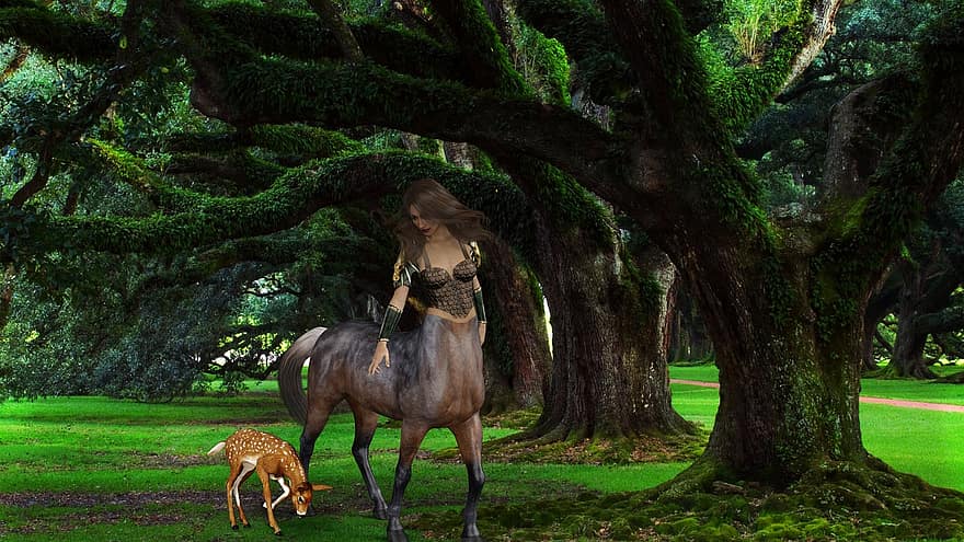 háttér, fák, kentaur, szarvas, fantázia, női, karakter, digitális művészet, nők, fa, ló