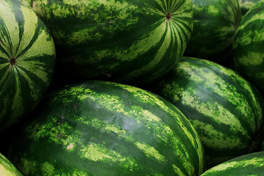 vandmeloner, frugter, grøn, sund og rask, mad, frisk, høst, fremstille, moden, organisk