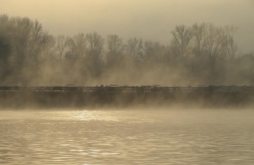rin, río Rin, niebla, amanecer, agua, paisaje, reflexión, ola, árbol, otoño, bosque