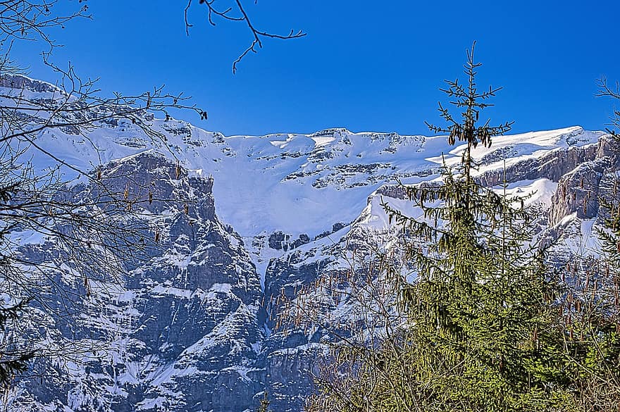 bjerg, gran, natur, landskab, Sixt-hestesko, Haute-Savoie, Rhône-Alpes, Alperne
