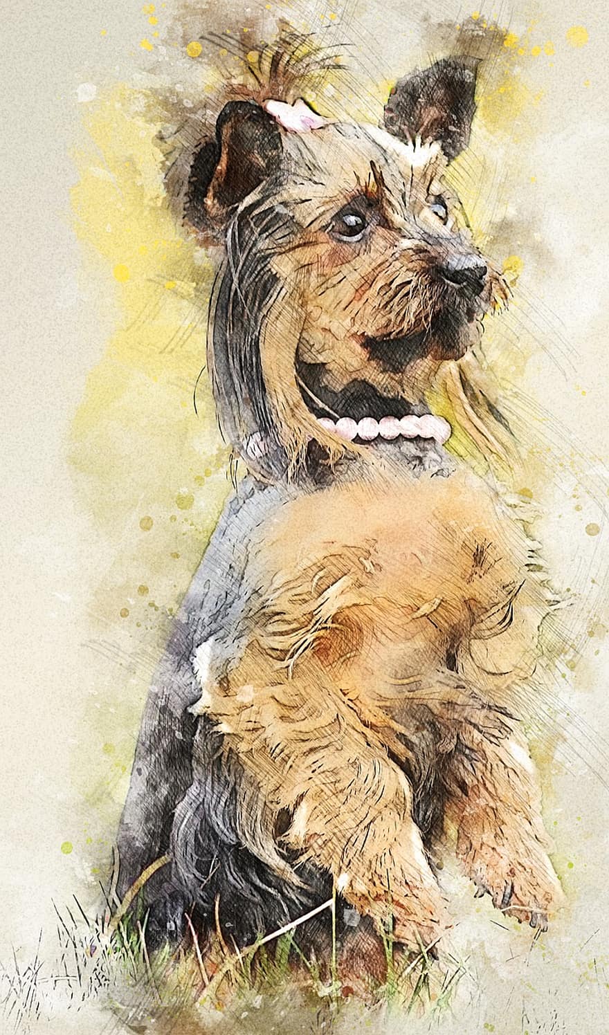Yorkie, Yorkshire Terrier, Dog, Canine, Pet, Animal, Art