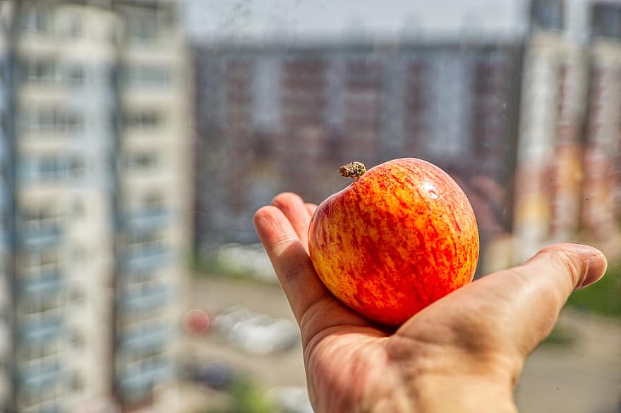 Fruit, Apple, Window, Day, City, Hand, Red, Bright, Isolation, Sitting At Home, On The Balcony