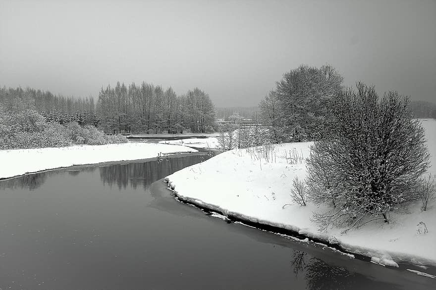 zimní, řeka, Příroda, sezóna, venku, sníh, keř