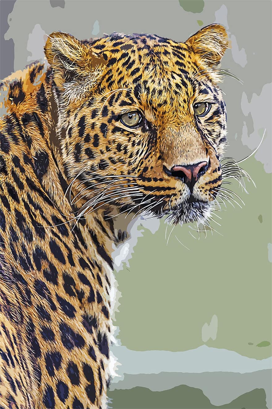 léopard, animal, faune, félin, mammifère