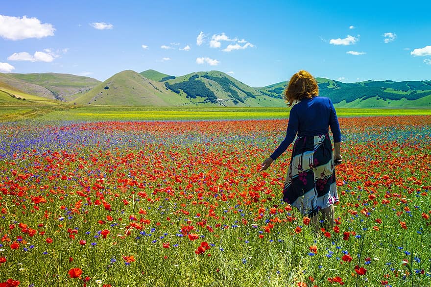 Poppies, Field, Nature, Castelluccio, Umbria, Flowering, Spring, women, summer, rural scene, meadow