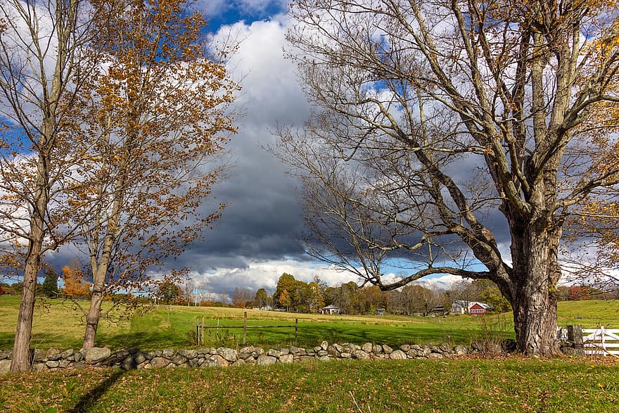 granja, campo, Massachusetts, naturaleza, otoño, paisaje, Southborough, árbol, temporada, escena rural, bosque