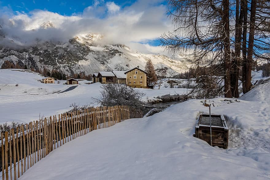 talvi-, lumi, kylä, vuoret, Engadin, Sveitsi, alppi-, suihkulähde, talot, aita, puu