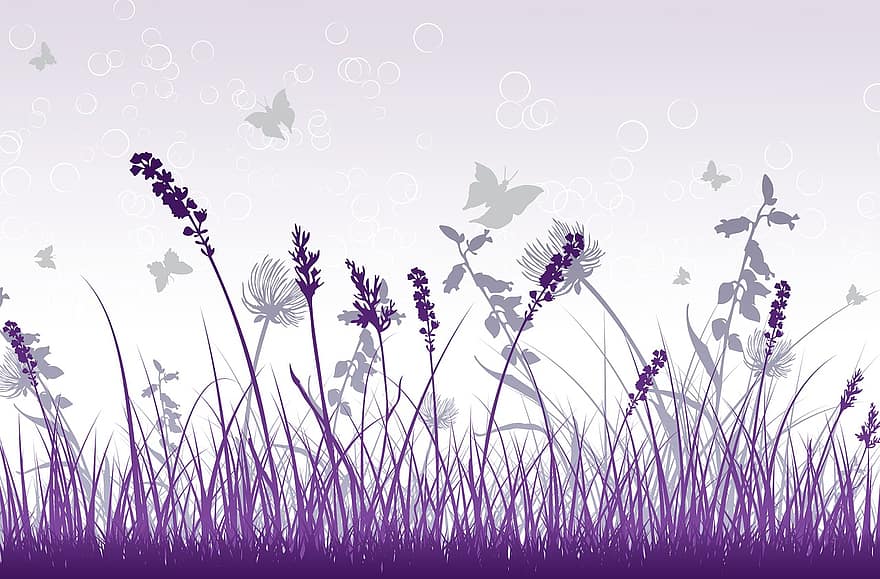 fioletowy, szary, dekoracyjny, tło, bukiet, kwiat, motyl