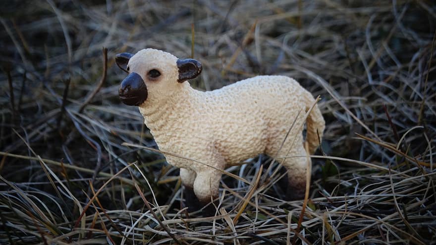 Lamb, Sheep, Farm, Schleichtier, Toy, Figurine