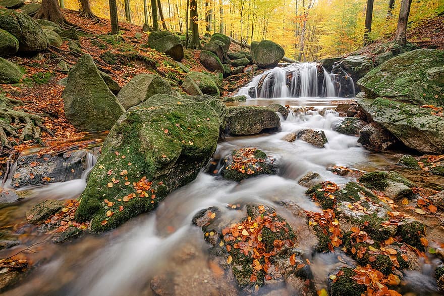 outono, rio, rochas, agua, madeiras, floresta, fluxo, água corrente, em cascata, torrente, Ribeiro