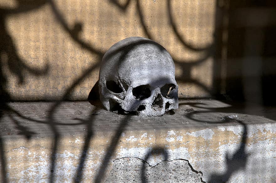 schedel, begraafplaats