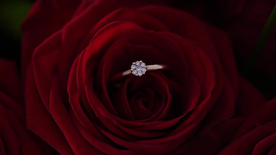 แหวนเพชร, ดอกกุหลาบ, แหวนแต่งงาน, ความรัก, งานแต่งงาน, ความหลงใหล, คู่, แหวนผู้หญิง, เครื่องเพชรพลอย, หัวแก้วหัวแหวน, ของขวัญ