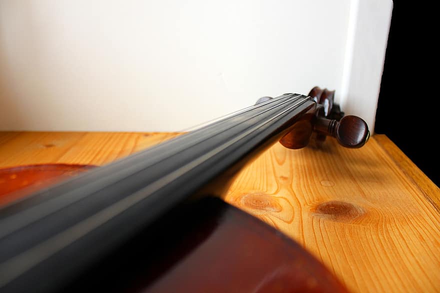 violon, instrument, instrument de musique, des cordes