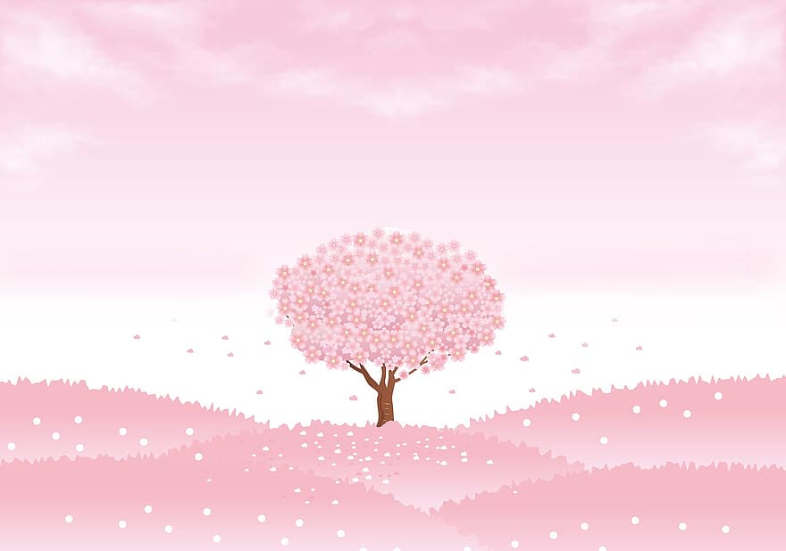весна фону, дерево сакури, Вишневе дерево, сакура, весна, дерево, цвітіння, вишня, небо