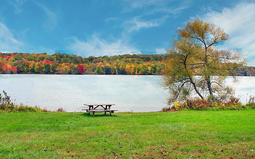 jezero, park, podzim, stromy, piknikový stůl, pole, Příroda, venku
