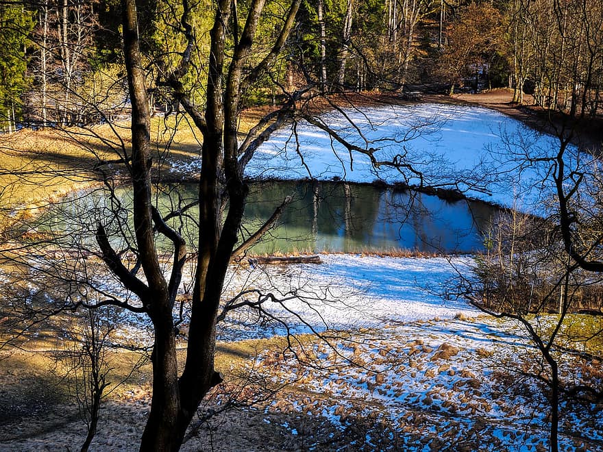 Nature, Autumn, Outdoors, Forest, Woods, Wilderness, Fall, Season, Pond, tree, winter