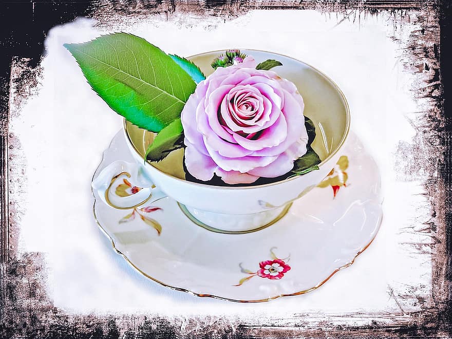 kaffekopp, reste sig, bygger, nostalgisk, porslin, blommig inredning, konverterad, blomvas, steg blom, rosa, anbud