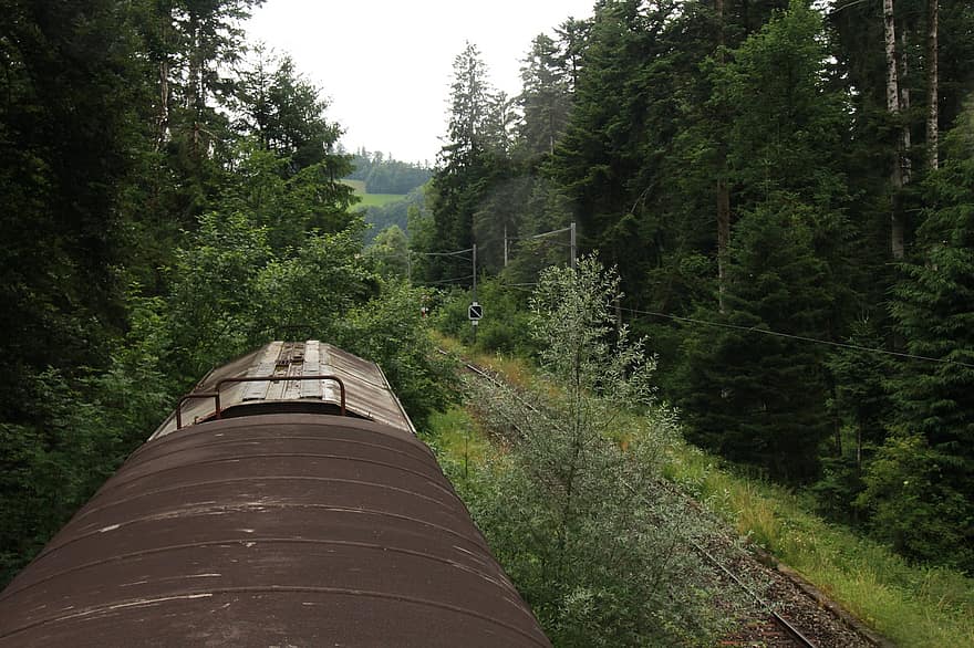 철도, 한 지방, 숲, 열차 선로