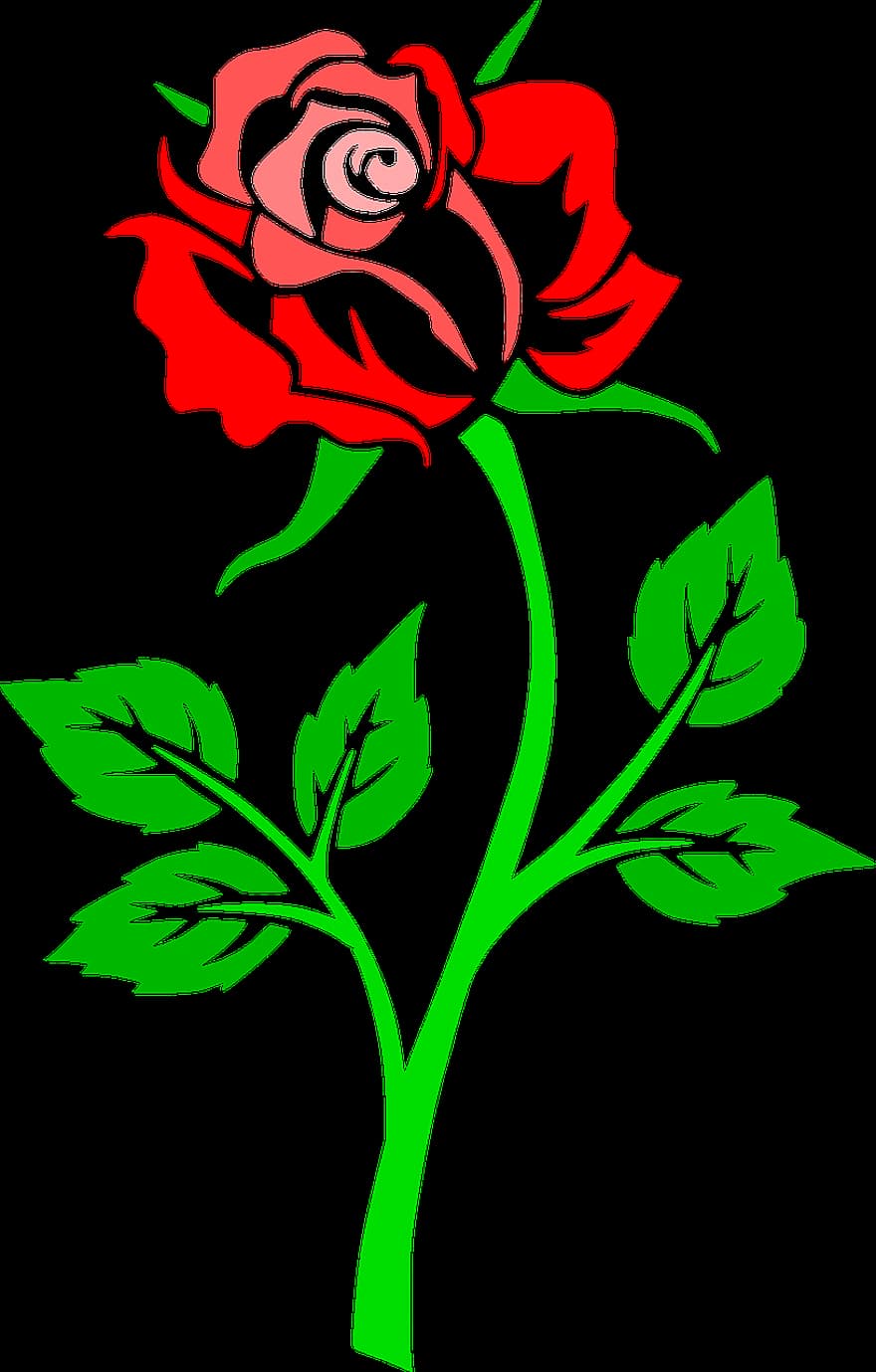 Flower, Rose, Contour, Outlines, Red, Pink