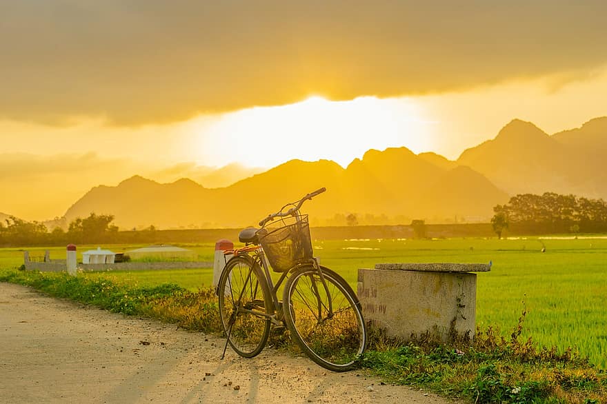 bicicleta, puesta de sol, paisaje, campo de arroz, campo, soleado, arroz