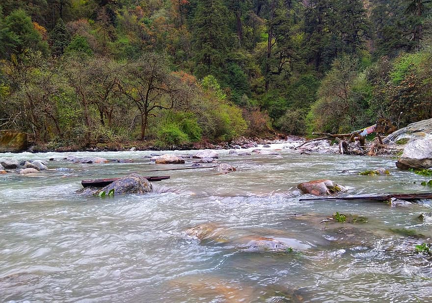 sungai, stream, batu, mengalir, berbatu, pohon, dedaunan, di luar rumah, aliran air, pemandangan, Nepal
