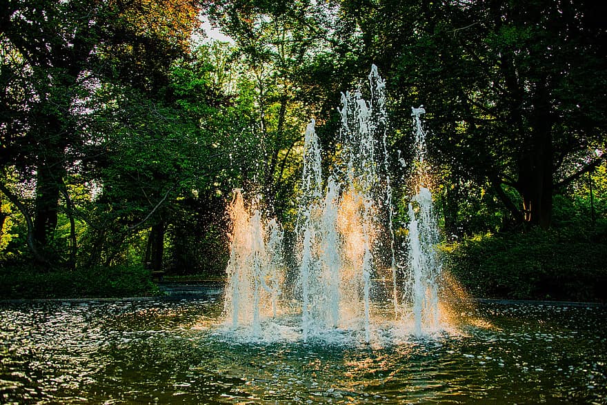 фонтан, парк, ставок