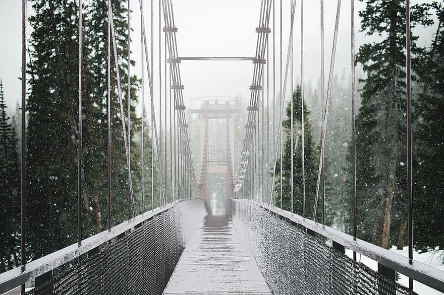 híd, erdő, hó, téli, hideg, természet