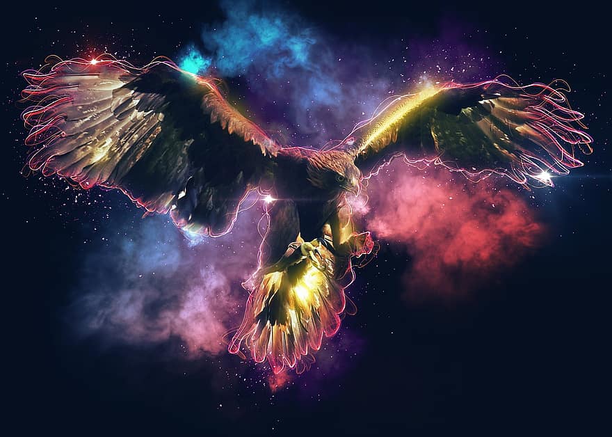 àguila, Adler, raptor, rapinyaire, animal, volant, vol, presa, naturalesa, vida salvatge, colorit