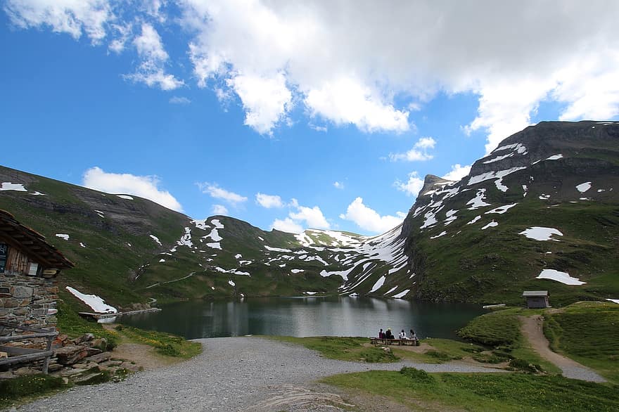 fjell, Sveits, Bachalpsee, innsjø, fotturer, landskap, sommer, vann, grønn farge, fjelltopp, gress