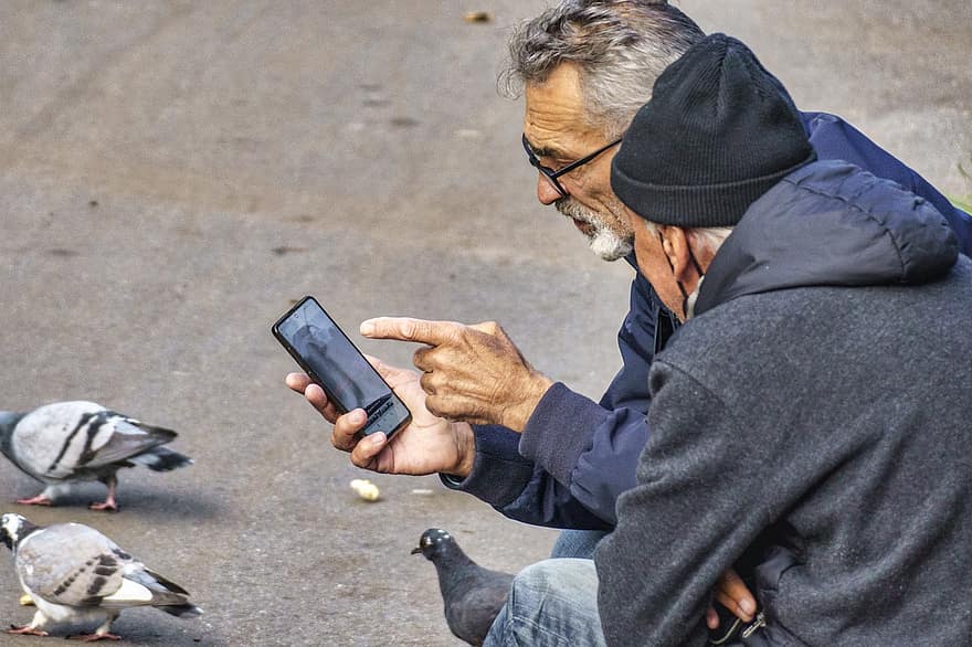 άνδρες, smartphone, πάρκο, βλέποντας, εξηγώντας, κινητό τηλέφωνο, ελεύθερος χρόνος, ηλικιωμένοι άνδρες, αρχαιότερος, Ανθρωποι, πουλιά
