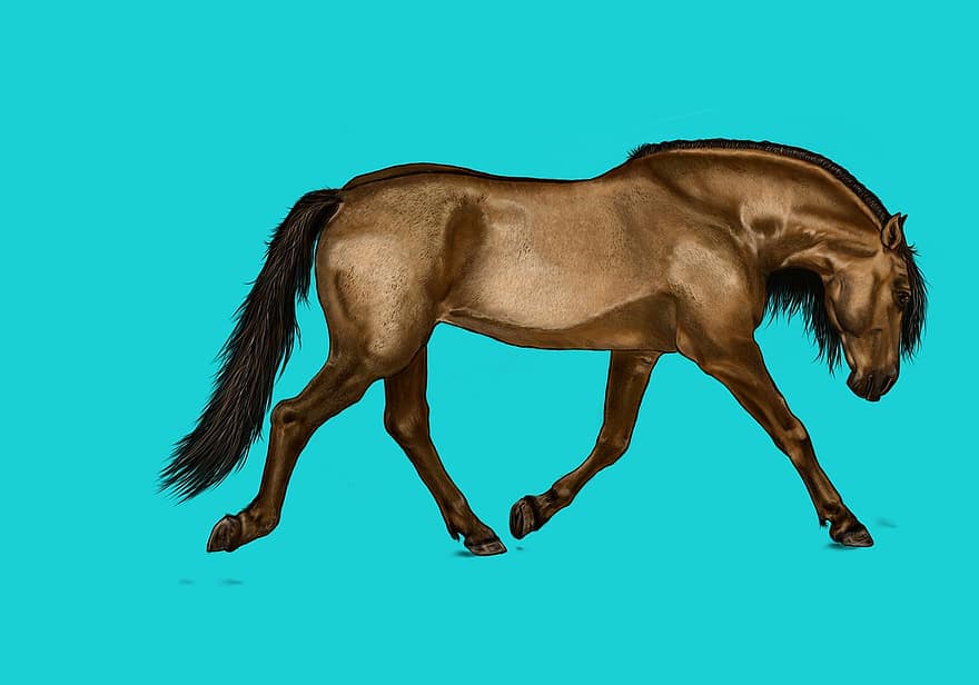 hest, digital maleri, digitalt kunstværk, dyr