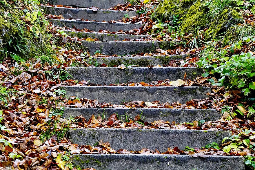 Εξωτερικά βήματα, σκάλες, φθινόπωρο