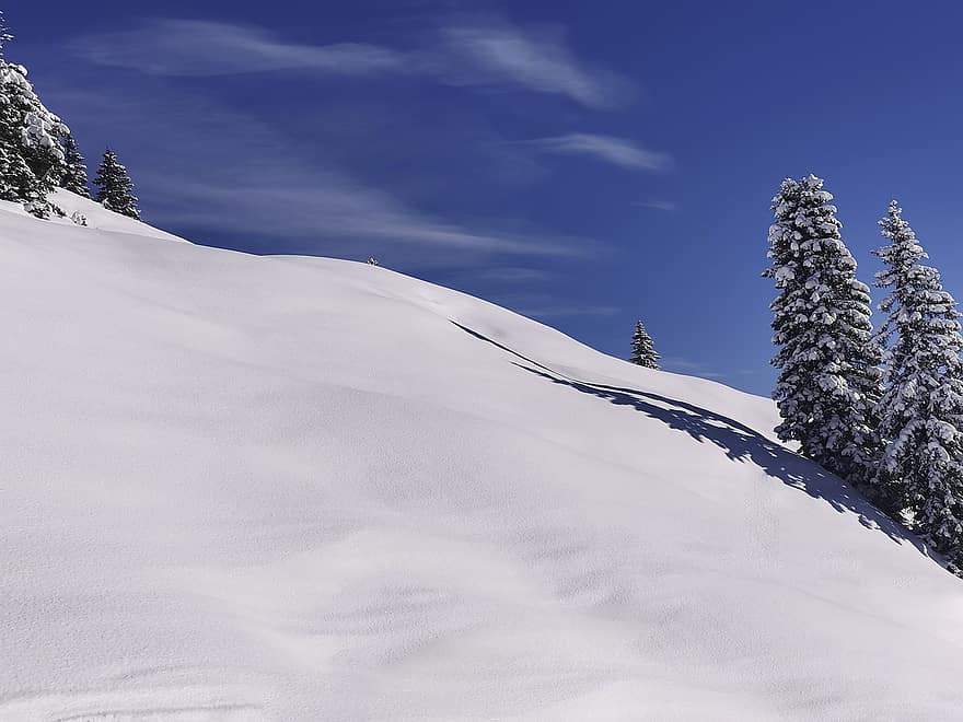 Snow, Mountain, Winter, Winter Landscape, Panorama, Nature, forest, landscape, blue, ice, season