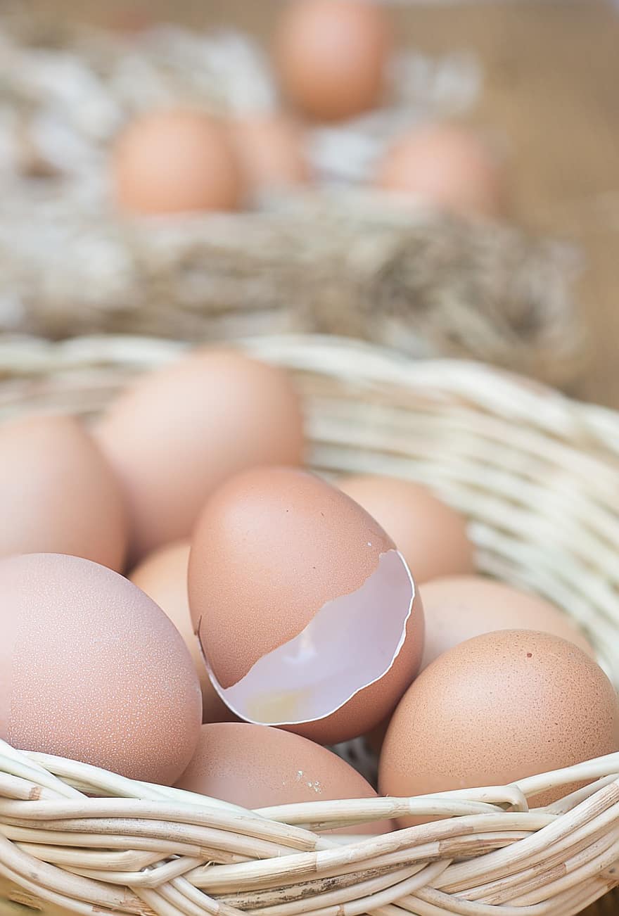 proteina, uova, biologico, guscio d'uovo, azienda agricola, cibo, fresco, salutare