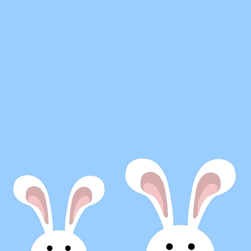 토끼, 작은 토끼, 귀엽다, 푸른, 화이트