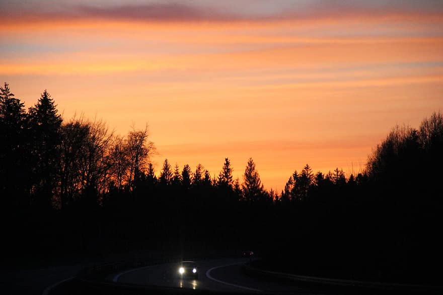日の出、道路、木、森林、光、自動車、太陽、自然、日没、夕暮れ、風景