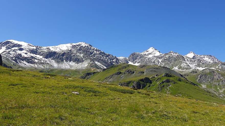 Landscape, Mountain, Field, Meadow, Grass, Peak, Mountain Range, Pasture, Nature, Alp Flix, Graubünden