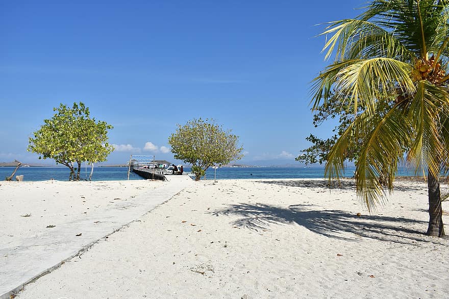 Strand, øy, kokosnøtt, trær, hav