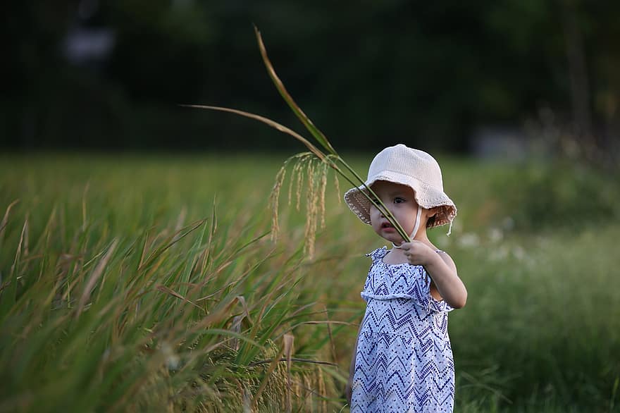 Kid, Child, Little Girl, Outdoors, Nature, Dress, Day Dress, Hat, Childhood, Field, Grass