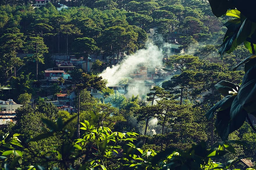 Village, Smoke, Forest, Dalat, Trees, Houses, Buildings, Town