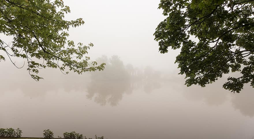 φύλλα, ομίχλη, λίμνη, πάρκο, νερό