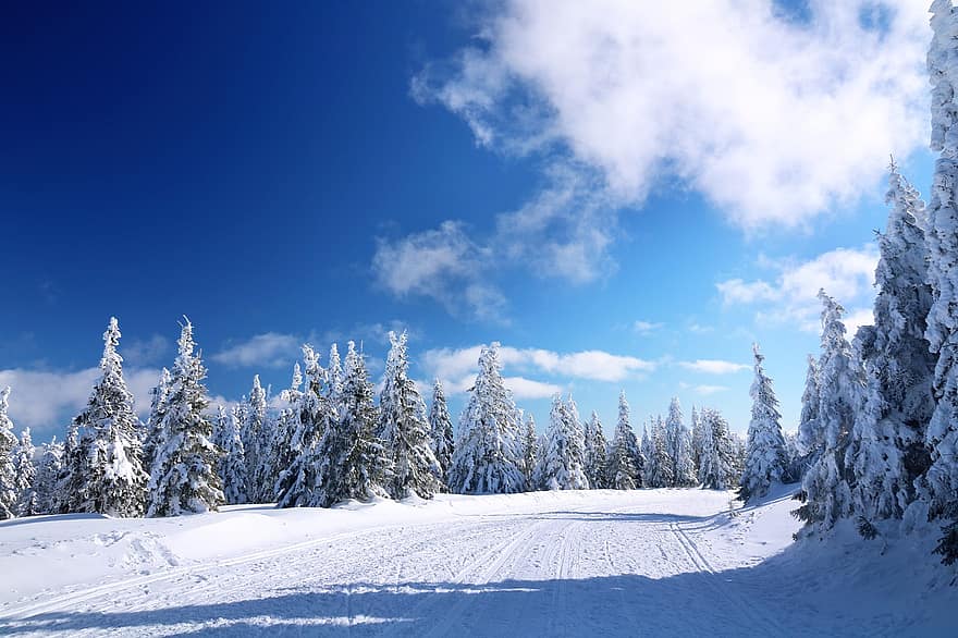 гора, планини, зима, зимен пейзаж, природа, дървета, сняг, син, дърво, пейзаж, планина