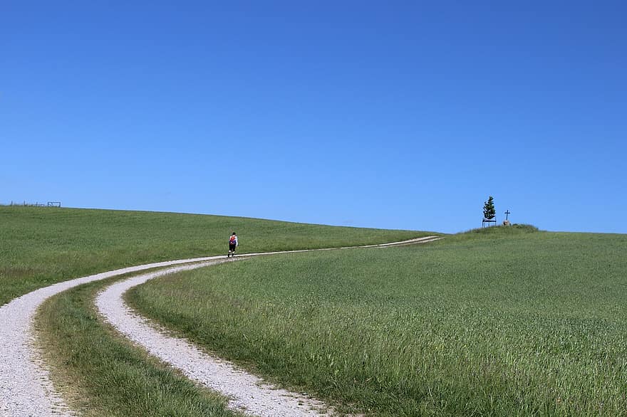 iarbă, câmpuri, cale, persoană, mers pe jos, mers, departe, traseu, ierbos, pășuni, orizont