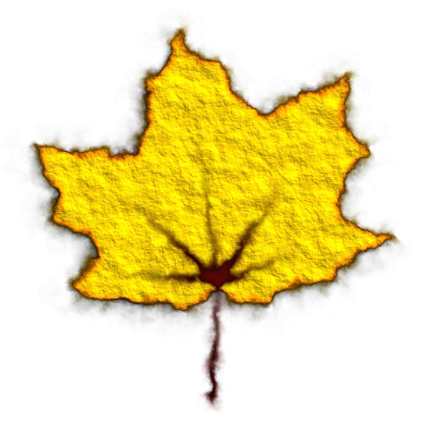 žlutý list, podzim, listy, podzimní listy