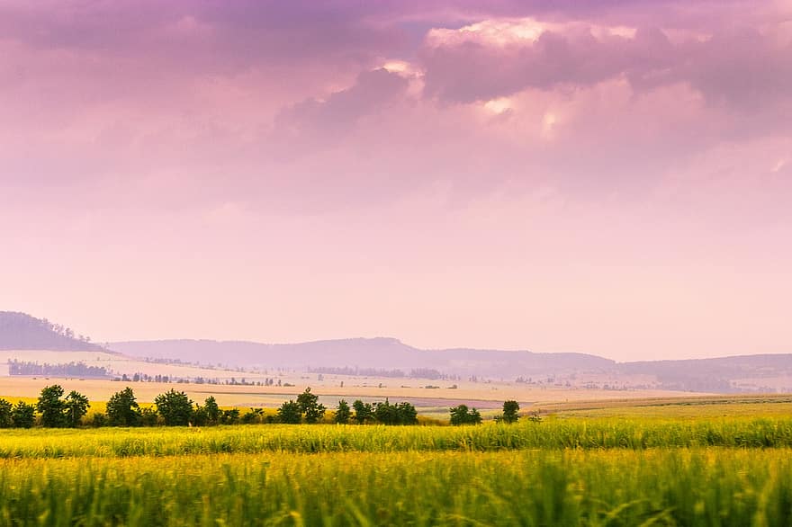 blé, champ, rural, paysage, ferme, la nature, les montagnes, ciel, des nuages, des céréales, surgir