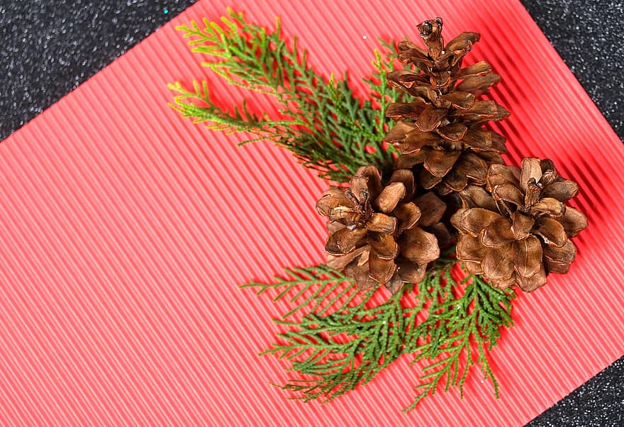 Pine Cones, Decoration, Christmas, Holiday, backgrounds, close-up, leaf, food, season, celebration, gift
