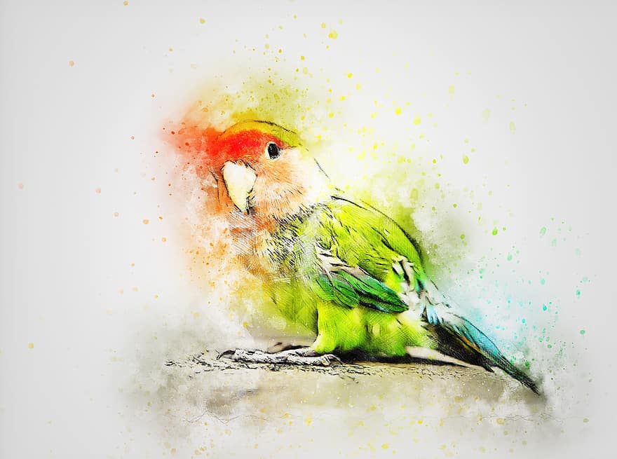 papegøje, fugl, leder, kunst, abstrakt, akvarel, årgang, forår, romantisk, natur, kunstnerisk