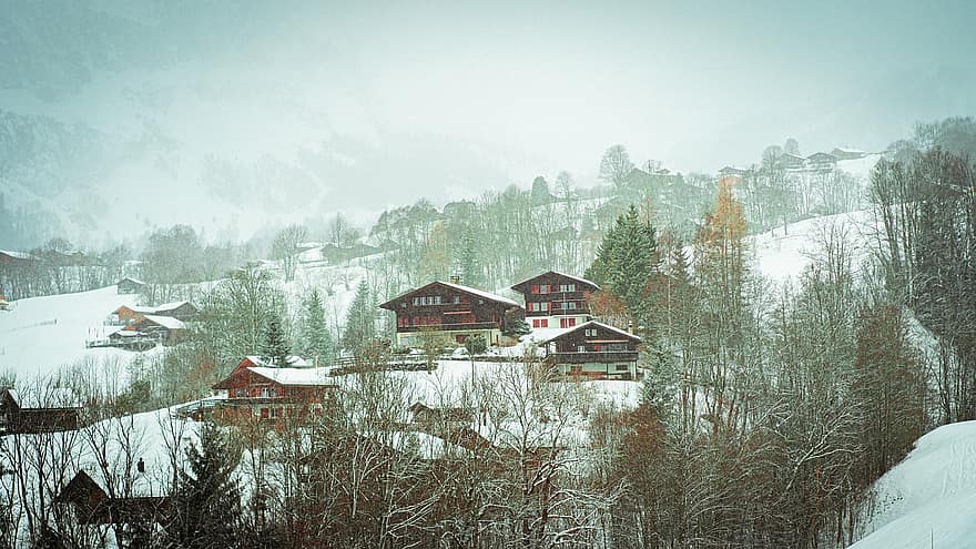 Šveice, ziemā, sniegs, miglains, ainavu, fores, raksturs, kalns, mežs, koks, sezonā