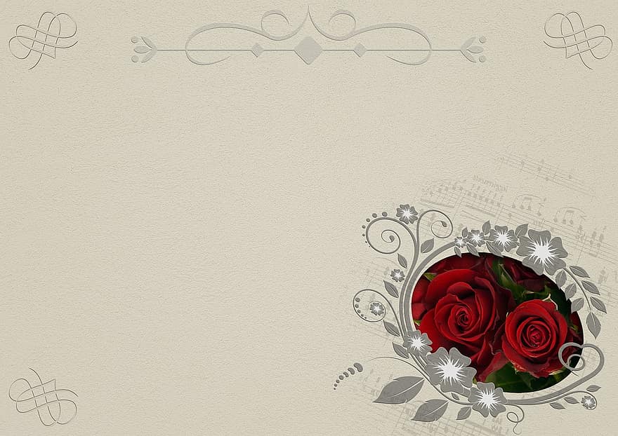 गुलाब के फूल, ढांचा, पृष्ठभूमि छवि, शादी, संबंध, फूल, गहने, सजावटी, डेको, शुभकामना, शुभकामना कार्ड